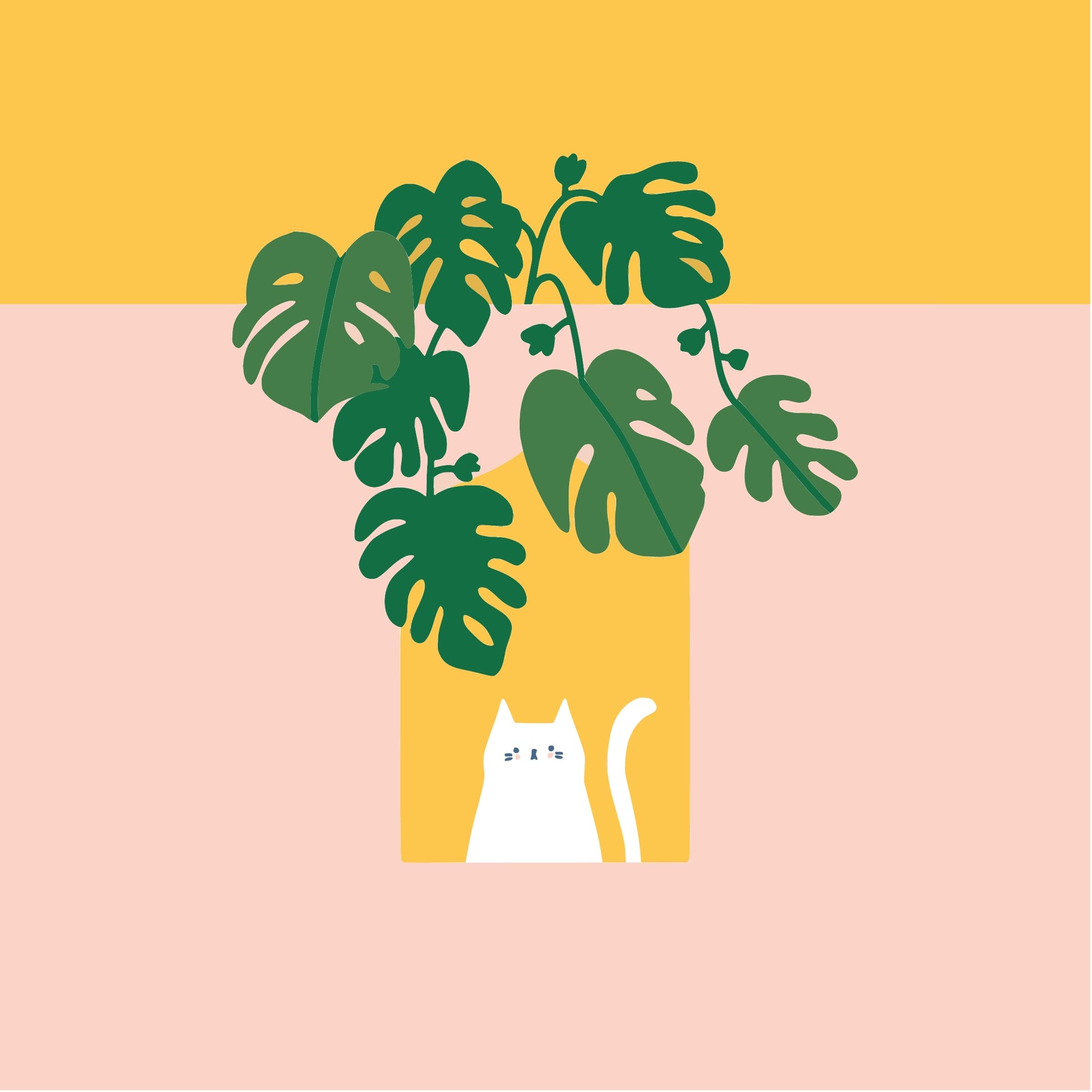 Mini kit Monstera & Meow